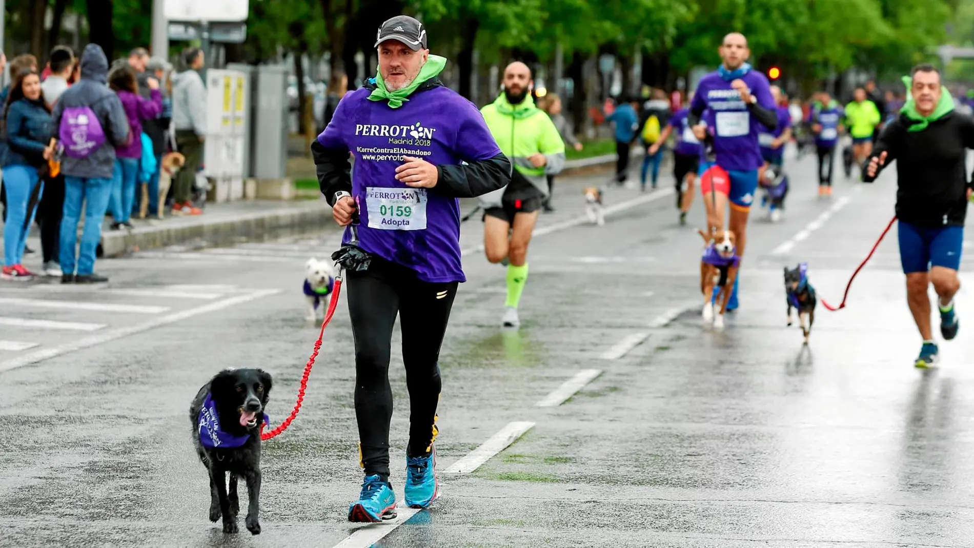 Los participantes de esta edición recorrerán cuatro kilómetros con sus mascotas/Foto: Cristina Bejarano