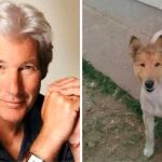 La imagen del animal se ha hecho viral