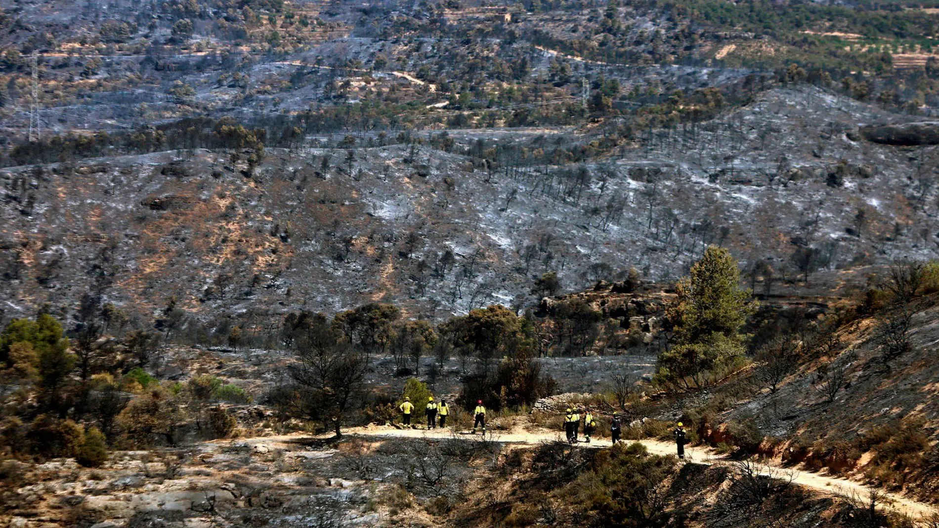 Bomberos en la zona afectada por el incendio de la Ribera d'Ebre / Foto: Efe