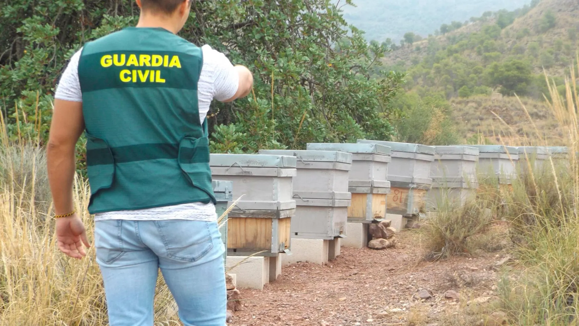 Uno de los agentes de la Guardia Civil revisa la zona en la que fue robada la docena de colmenas de un apicultor de Zarcilla de Ramos-Lorca