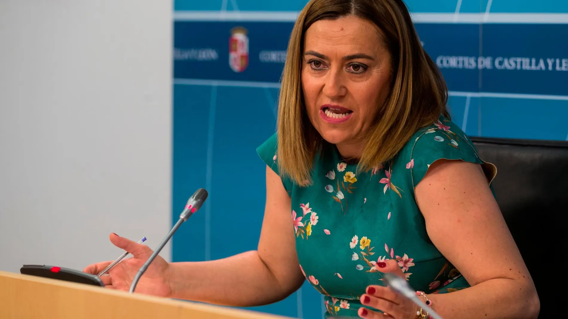 La vicesecretaria regional del PSOE, Virginia Barcones, analiza el acuerdo entre PP y Cs para la gobernabilidad de la Comunidad
