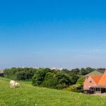 Imagen archivo de una granja en Holanda