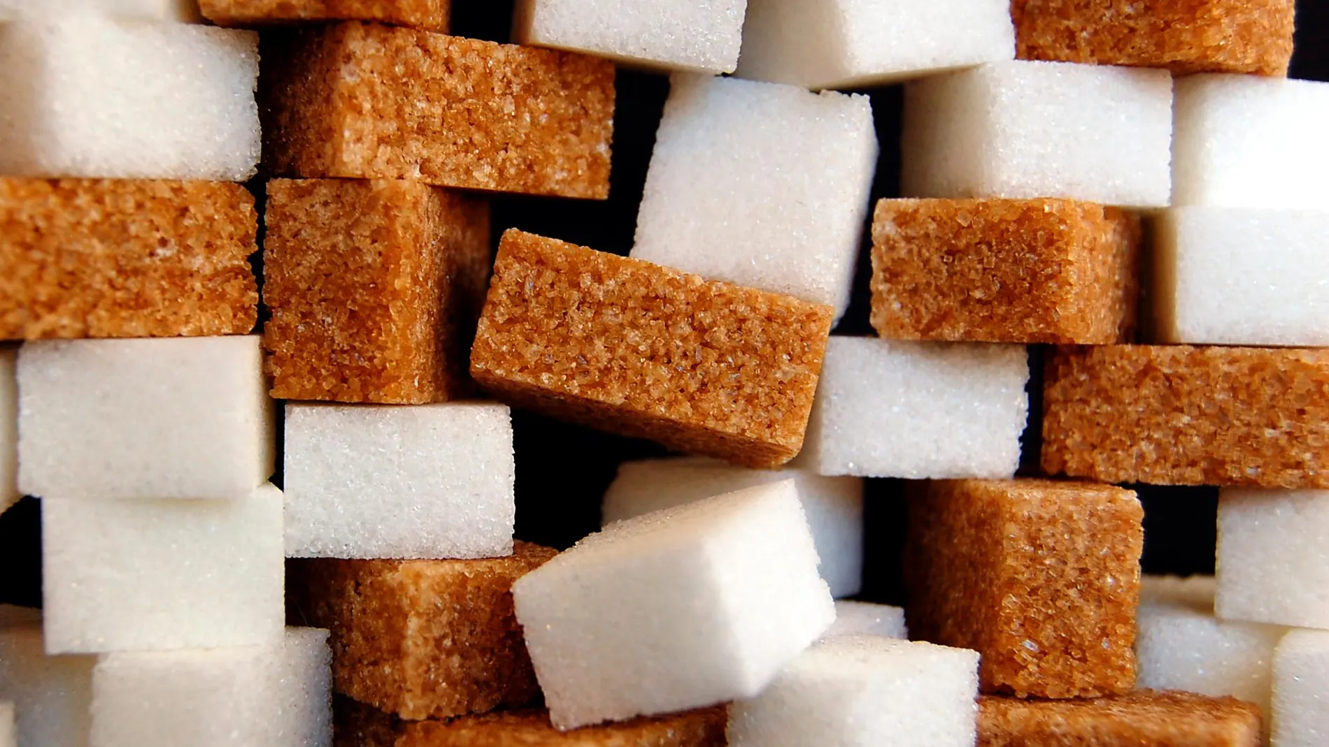 Más de un centenar de voluntarios con sobrepeso y que lo que más les gustaba eran los dulces participaron, previamente, en una reunión donde se les explicó porqué el exceso de azúcar es perjudicial para la salud | Sandra R. Poveda
