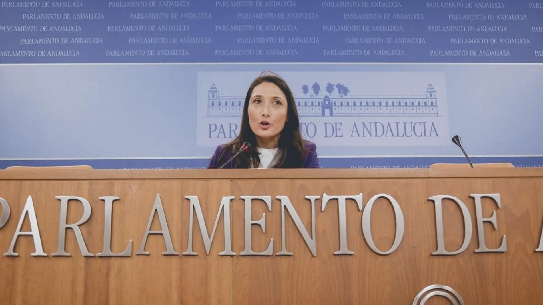 La portavoz adjunta del grupo parlamentario de Ciudadanos en el Parlamento de Andalucía, Mónica Moreno / EP