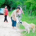 BonBon, el perro que nunca se cansó de esperar