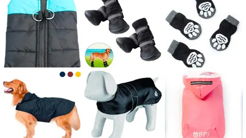 La ropa que necesita tu perro