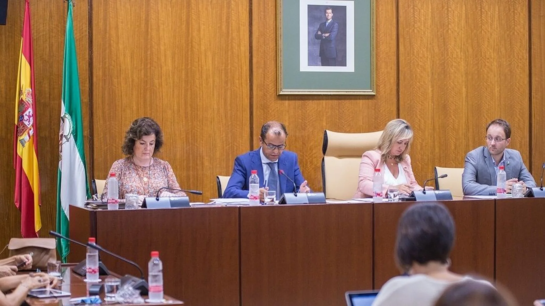 El director de la RTVA, Juande Mellado, compareció este miércoles en Comisión parlamentaria /Foto: La Razón