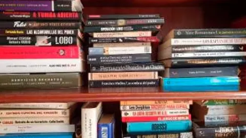 Espías de novela