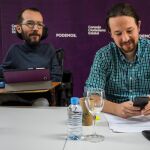 Pablo Echenique y Pablo Iglesias en un Consejo Ciudadano de Podemos