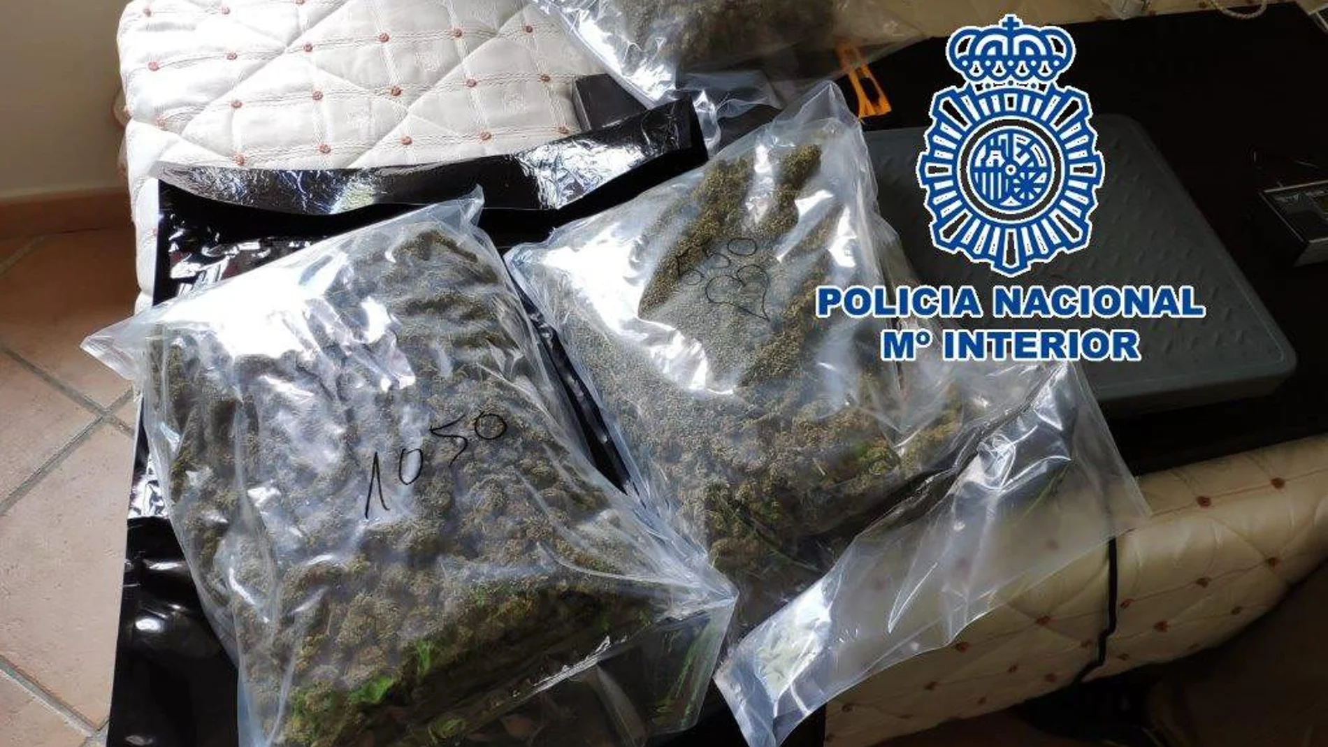 La operación «Mechelen» se ha saldado con cinco detenidos, 52 kilogramos de critical y otros 51 kilos de cogollos de marihuana / Foto: La Razón