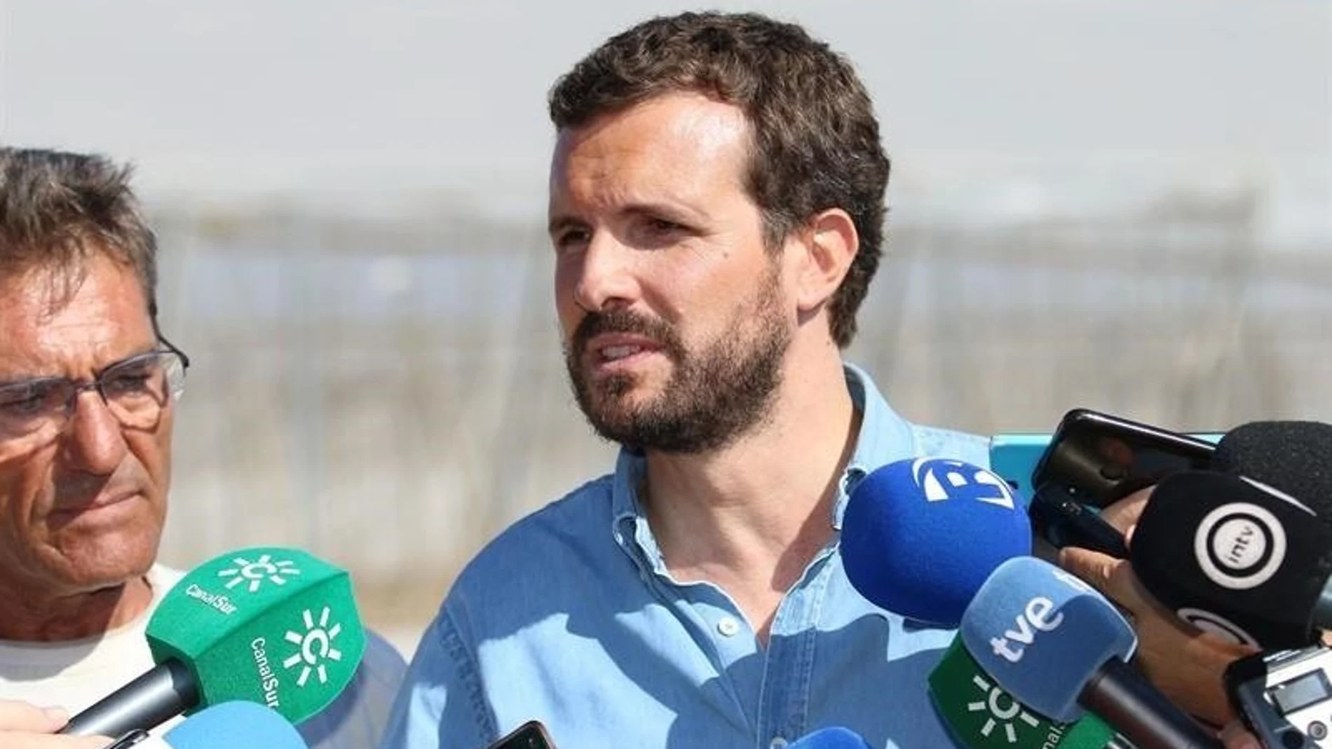 El líder del PP, Pablo Casado / Europa Press