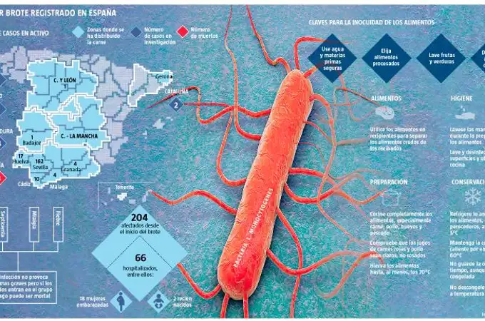 Listeriosis. España concentra la mayor parte de la bacteria en la UE