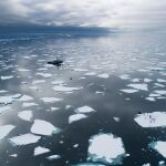 Imagen del barco Sunrise de Greenpeace en el Ártico rodeado de témpanos de hielo