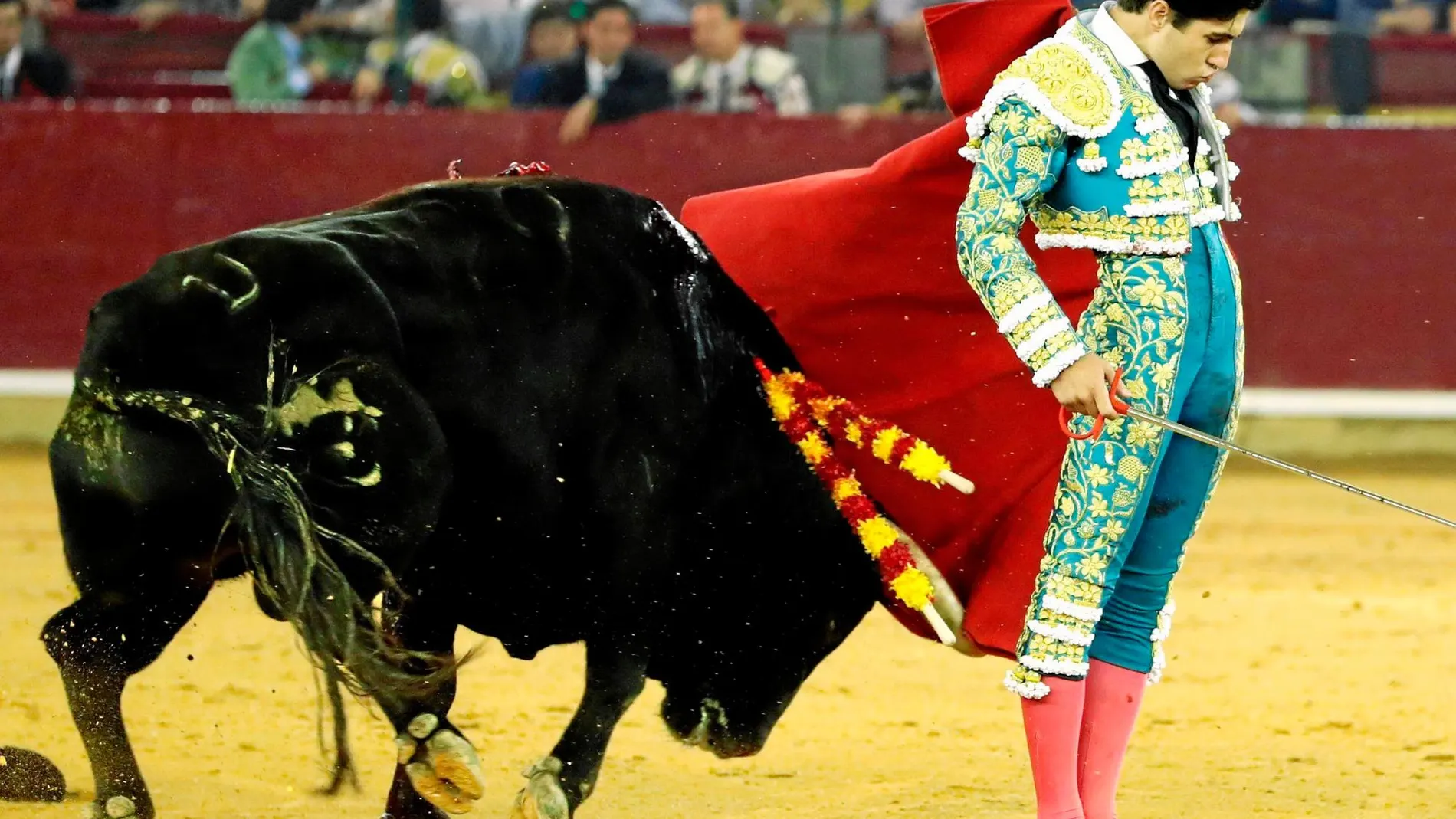 Comienzo de faena de Álvaro Lorenzo pasándose al toro por la espalda en Zaragoza. Foto: Efe