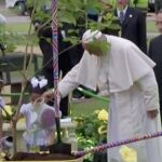 Envenenan el árbol del Papa Francisco