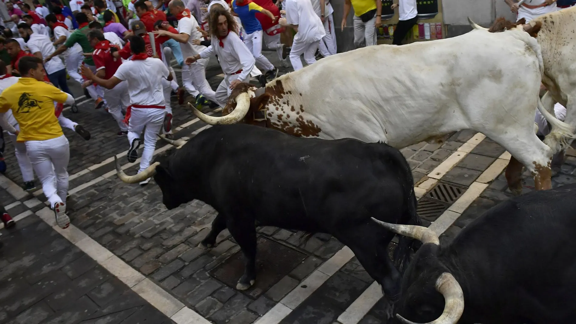 [Revellers run next to fighting bulls during the running of the bulls at the San Fermin Festival]