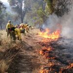 Miembros de la Brigada de Refuerzo de Incendios Forestales de la Comunidad Andaluza (Brica) combatiendo el fuego / Foto: La Razón