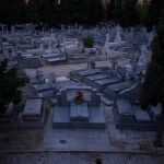 Entre las más de 120 hectáreas del cementerio se encuentran las sepulturas de tres de los mejores literatos de la historia, Foto: Alberto R. Roldán