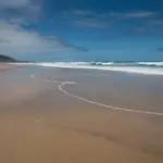 Imagen de una playa sin vigilancia