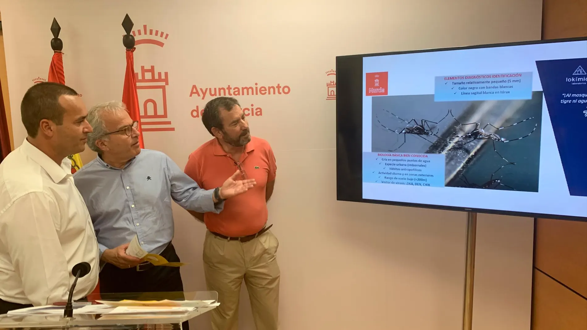 Desde el Ayuntamiento de Murcia señalan la necesidad de controlar las zonas privadas para evitar que sean focos de anidación de los insectos