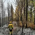 Las brigadas de refuerzo en incendios forestales (BRIF) trabajan en la extinción de un incendio