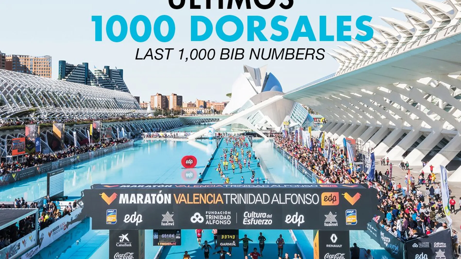 Últimos 1.000 dorsales para la Maratón de Valencia