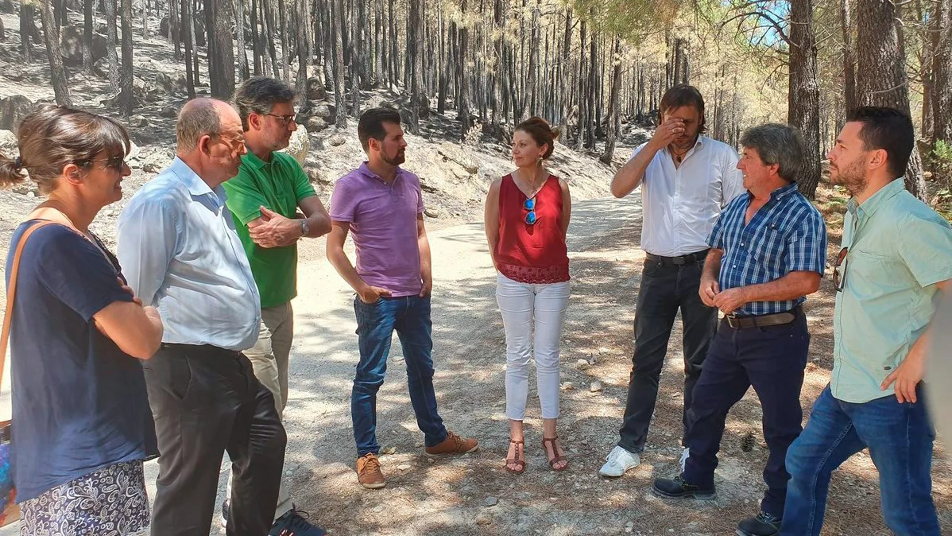 Luis Tudanca visita la zona afectada por el fuego en el Valle del Tiétar abulense