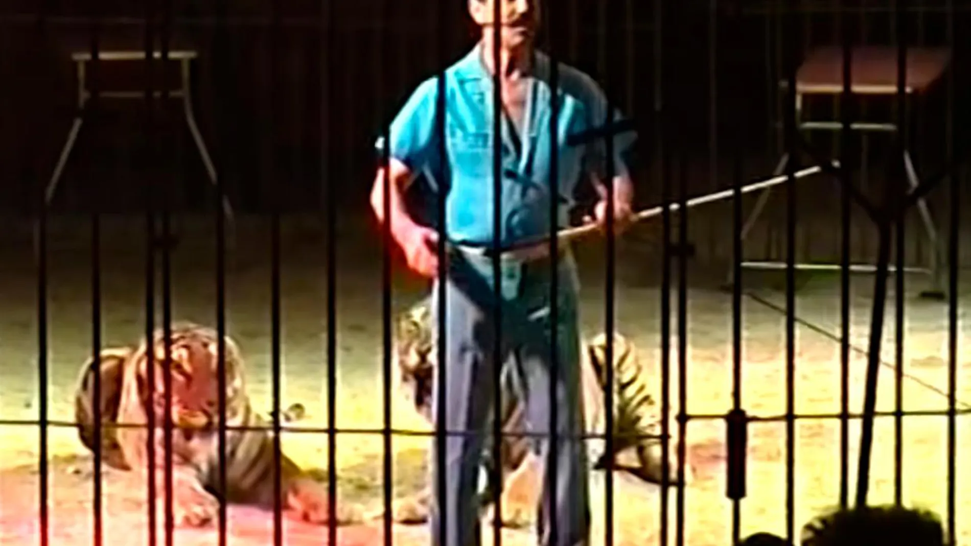Una imagen del domador en un espectáculo de 2017