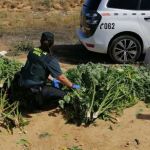 Una agente de la Guardia Civil con el material incautado