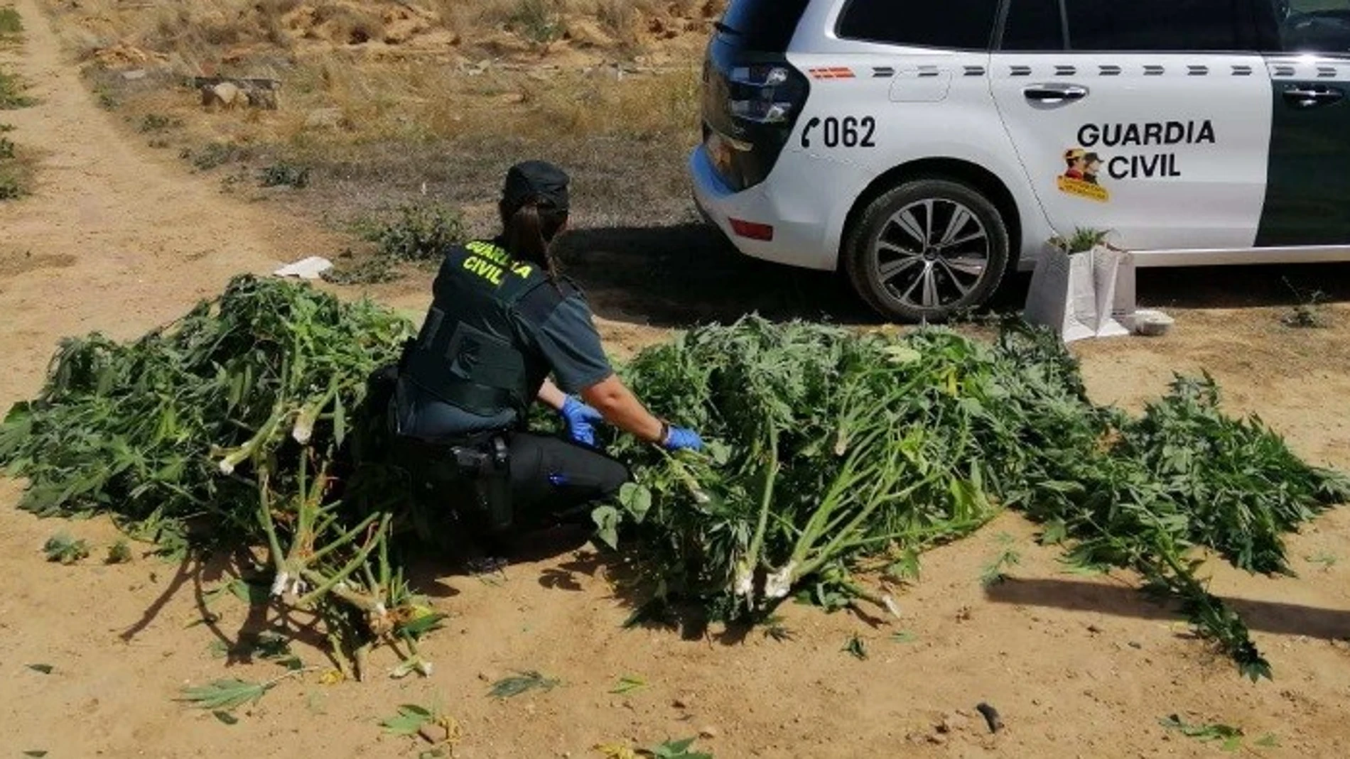 Una agente de la Guardia Civil con el material incautado