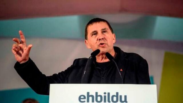 Arnaldo Otegi, en una imagen de archivo / Efe