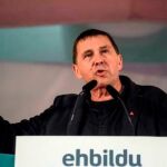 Arnaldo Otegi, en una imagen de archivo / Efe