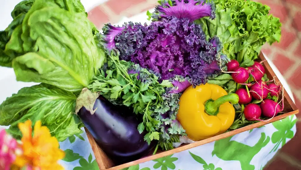 Día mundial de la alimentación: 8 alimentos saludables e imprescindibles en otoño