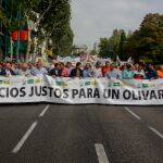 El sector agrícola representado por Asaja, COAG, UPA y Cooperativas Agroalimentarias salió a la calle frente a la crisis del olivo / Foto: La Razón
