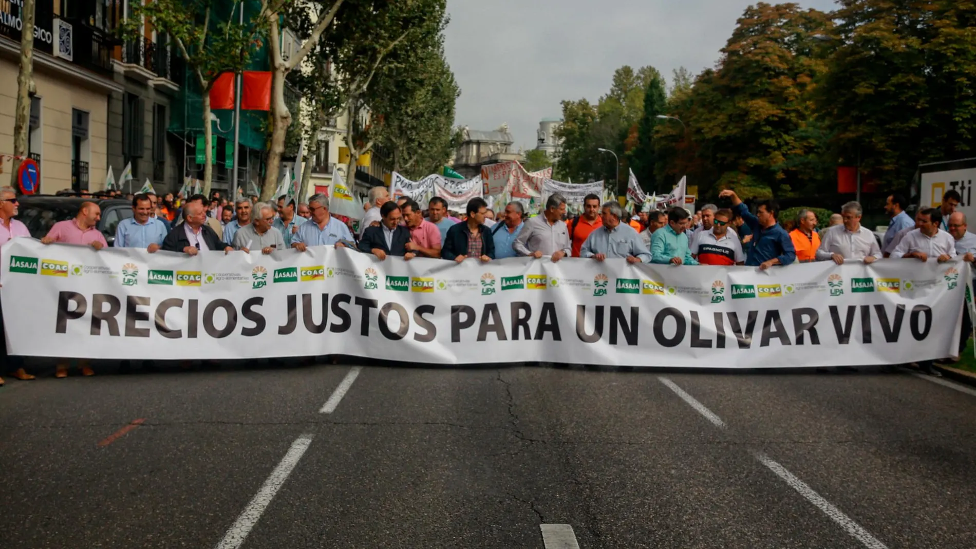 El sector agrícola representado por Asaja, COAG, UPA y Cooperativas Agroalimentarias salió a la calle frente a la crisis del olivo / Foto: La Razón