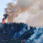 Imagen del incendio que se ha declarado en Canarias