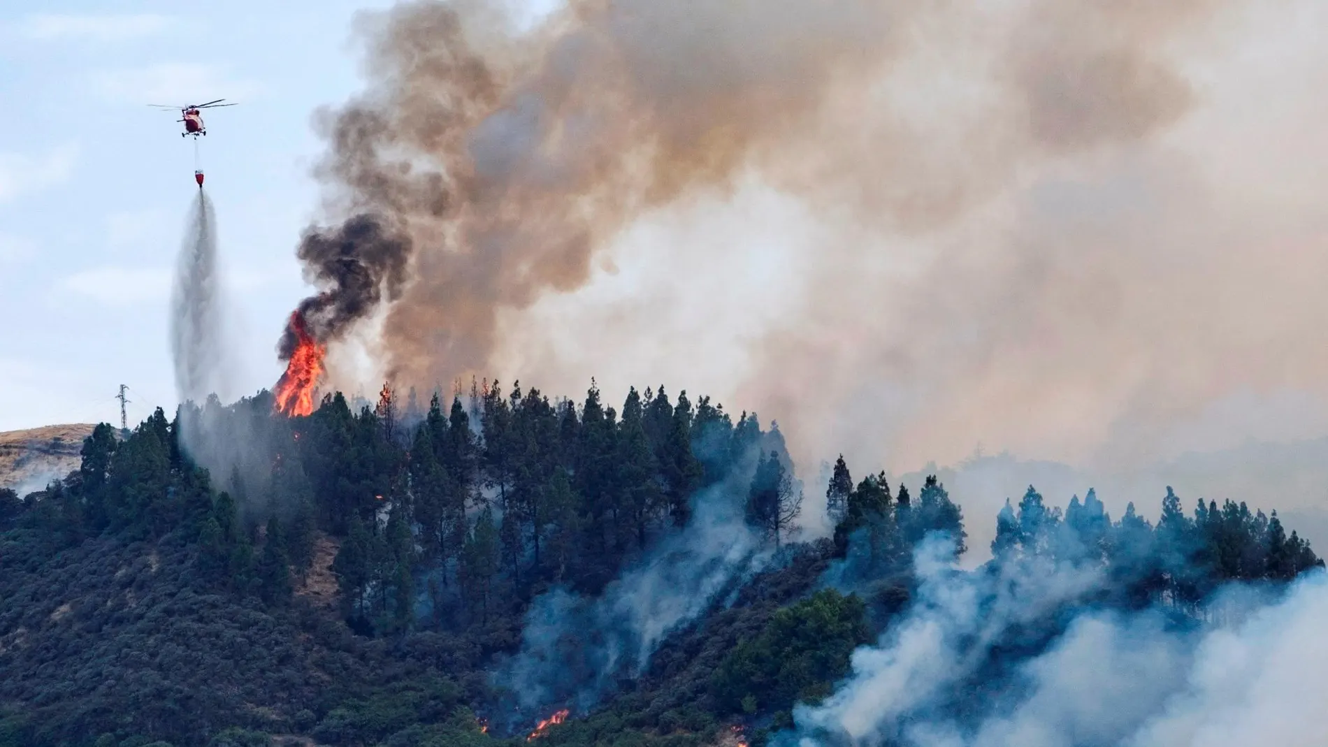 Imagen del incendio que se ha declarado en Canarias