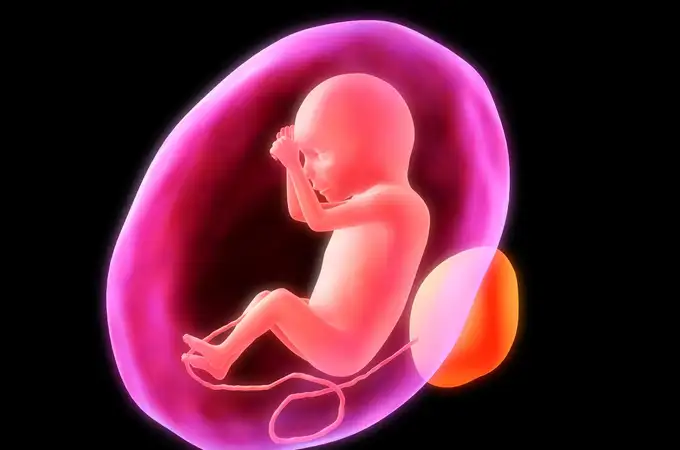 Nace el tercer grupo más grande de clínicas de fertilidad de España