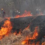 El fuego está arrasando amplias zonas de Bolivia