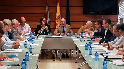 Carnero preside la segunda reunión de seguimiento de la plaga