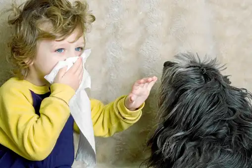Un estudio descubre que les pasamos más virus a nuestras mascotas que ellas a nosotros