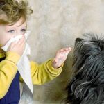 Los animales que más alergias nos producen son el perro y el gato, aunque cada vez vemos más en pequeños animales