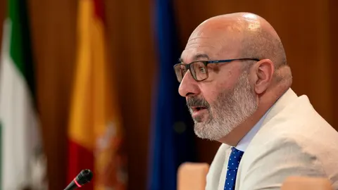 Alejandro Hernández, un instante de su intervención en la cámara andaluza / Foto: EP