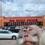 Un gran simio que caza gatos y ataca a niños aterroriza a los habitantes de Santa Fe