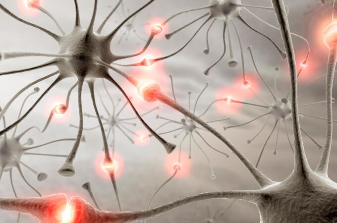 Los cambios iniciados por la activación neuronal son más complejos y actúan a más niveles de lo que se pensaba hasta ahora.