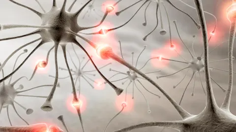Los cambios iniciados por la activación neuronal son más complejos y actúan a más niveles de lo que se pensaba hasta ahora.