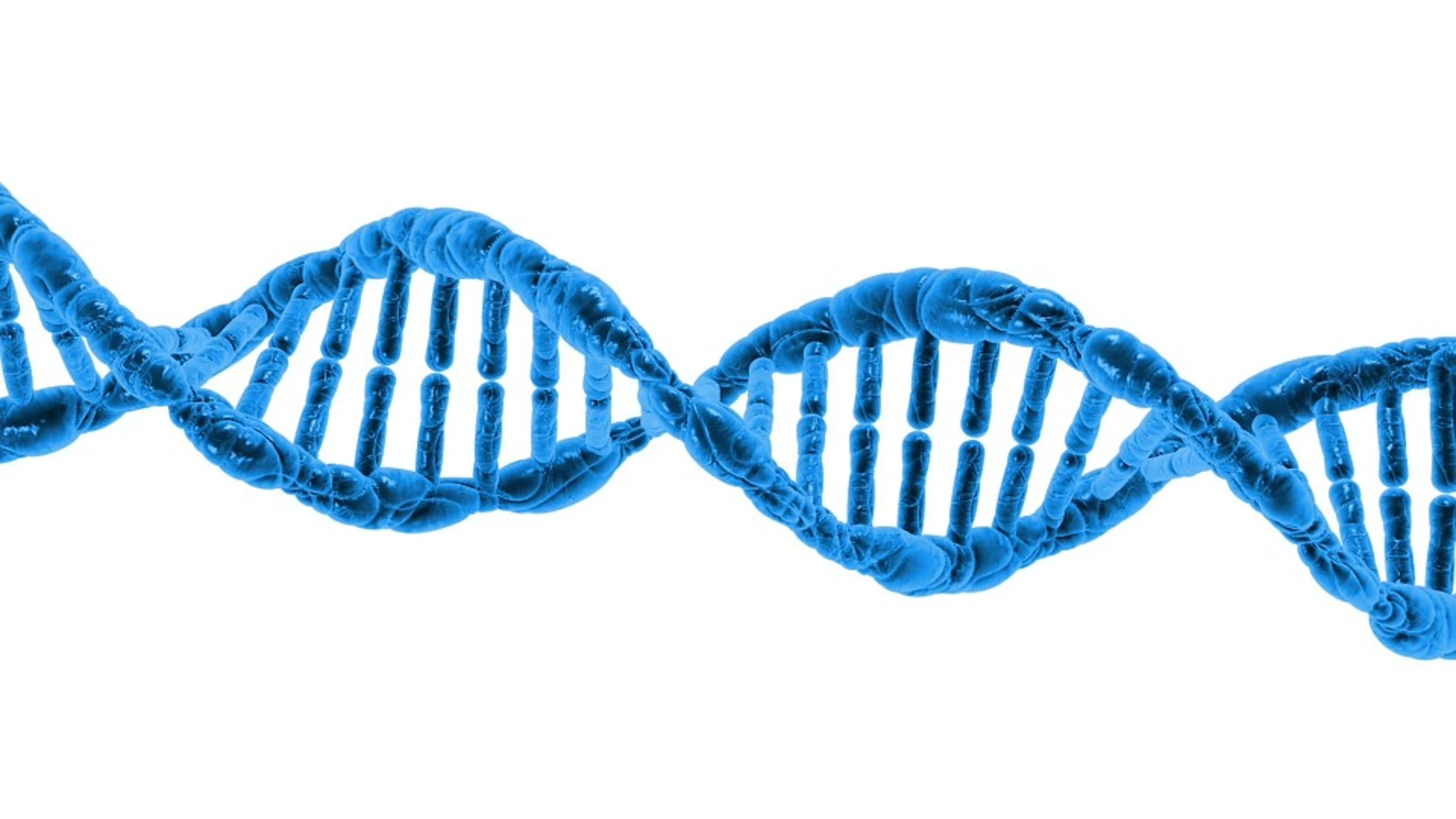 La epigenética: conocerla puede hacerte prevenir enfermedades