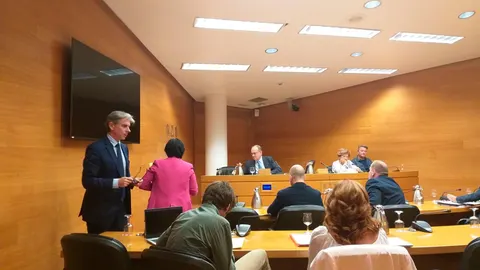 El presidente de la Comisión, Felipe Javier Carrasco (PP), se turna en la presidencia de la Mesa con la vicepresidenta, Irene Rosario Gómez (Podemos)