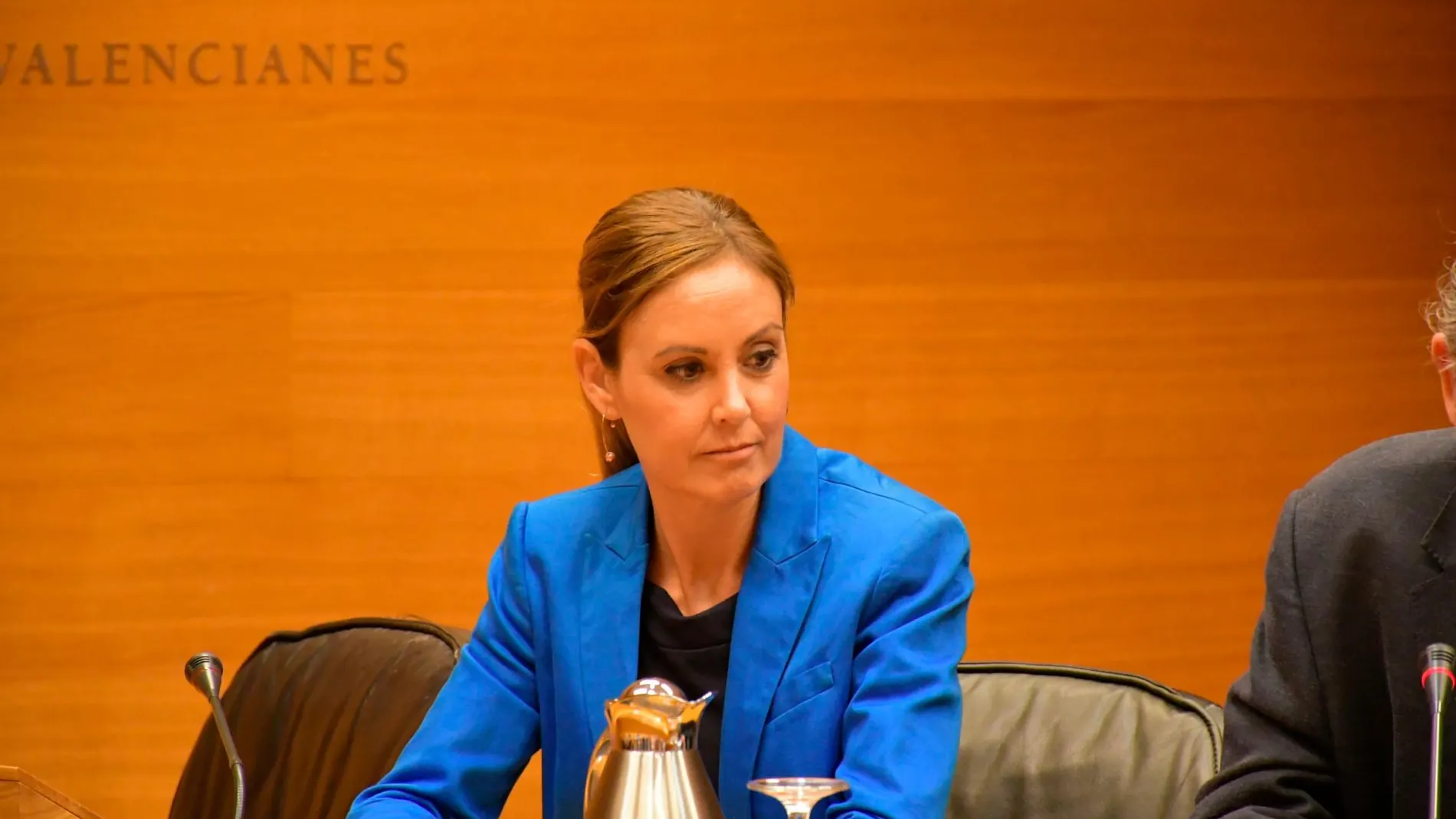 La diputada Elisa Díaz (PP) considera que las leyes del Consell son «ineficaces» y están llenas de errores.