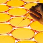 Se está diseñando una amplia gama de dispositivos microfluídicos para aislar los biomarcadores del cáncer , aprovechando el auge de la nanofabricación en las últimas décadas /Foto: Gtres